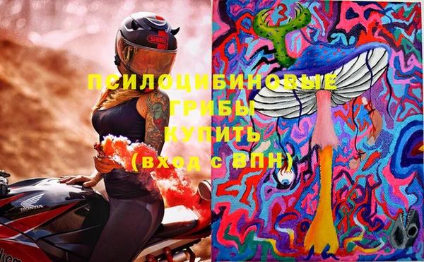 гашик Магадан