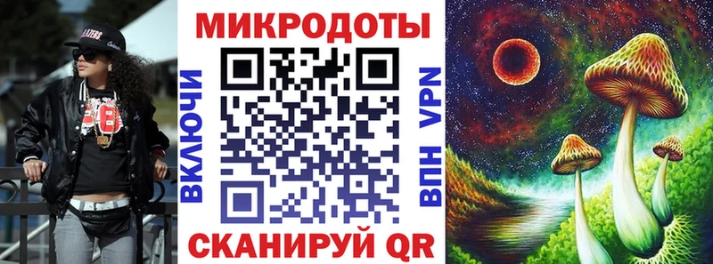 Купить где  Петушки  Псилоцибиновые грибы Psilocybine cubensis 